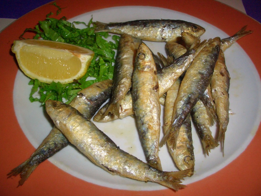 Xouvas (sardina pequeña)