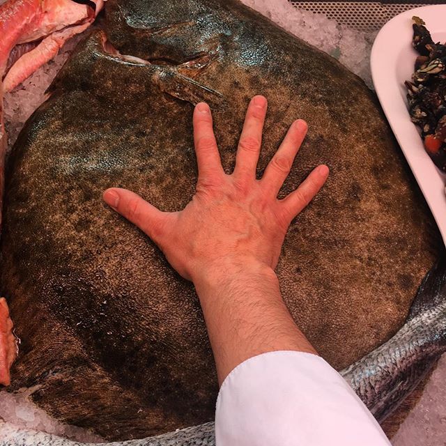 13256690_1005896462821002_1938737583_n