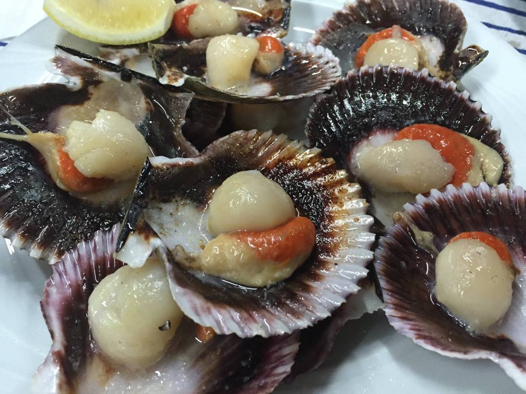 11148227_482568498559073_3473453700086189877_o