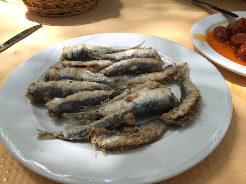 11393331_482568461892410_3886908747094914647_o