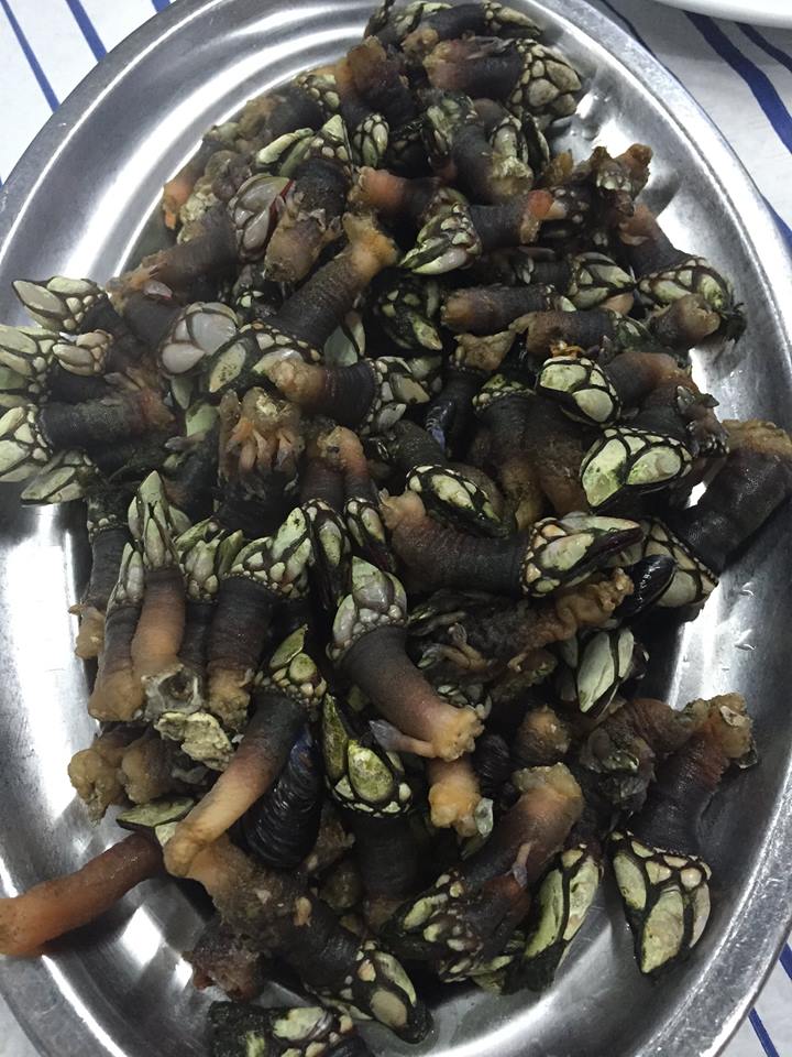 19695_482568518559071_8325021202221445120_n