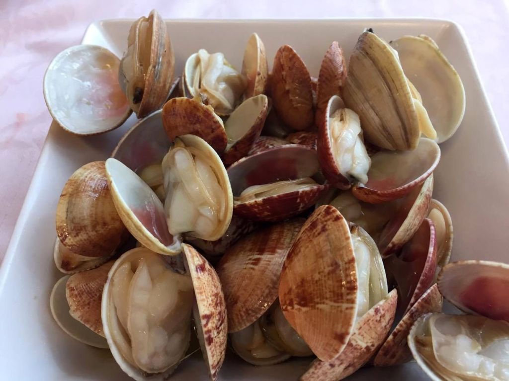 14647421_10154668556470972_857730349_o