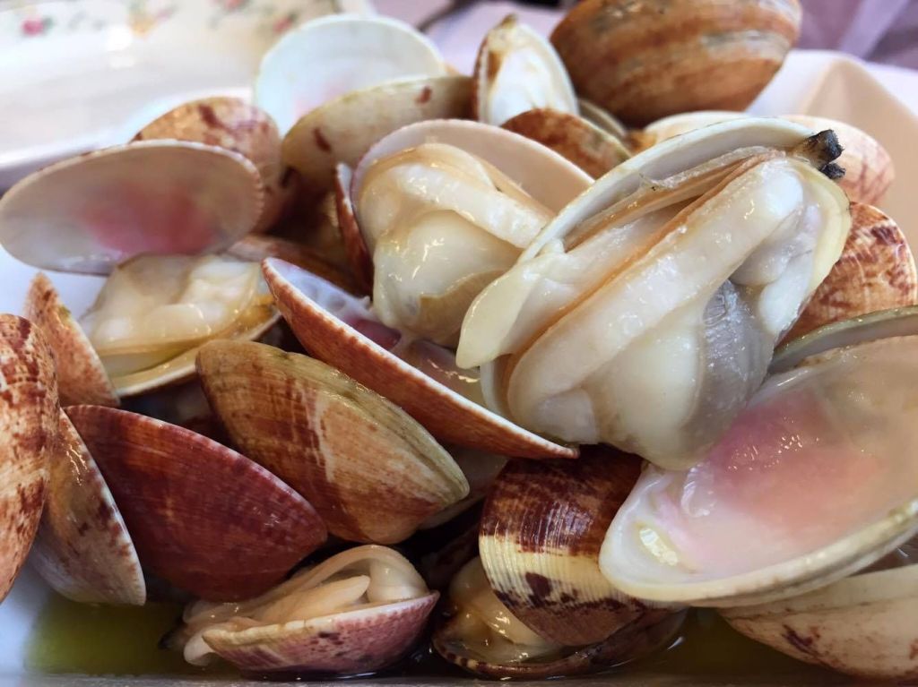 14672848_10154668556465972_318402136_o