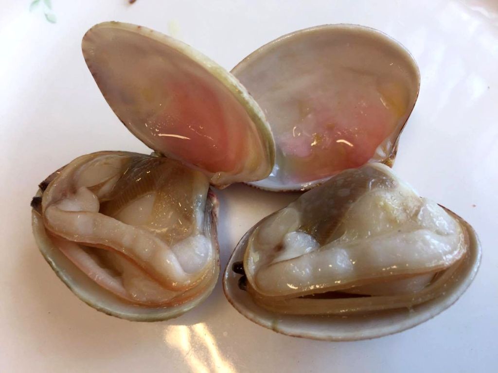 14697099_10154668555100972_1449454149_o