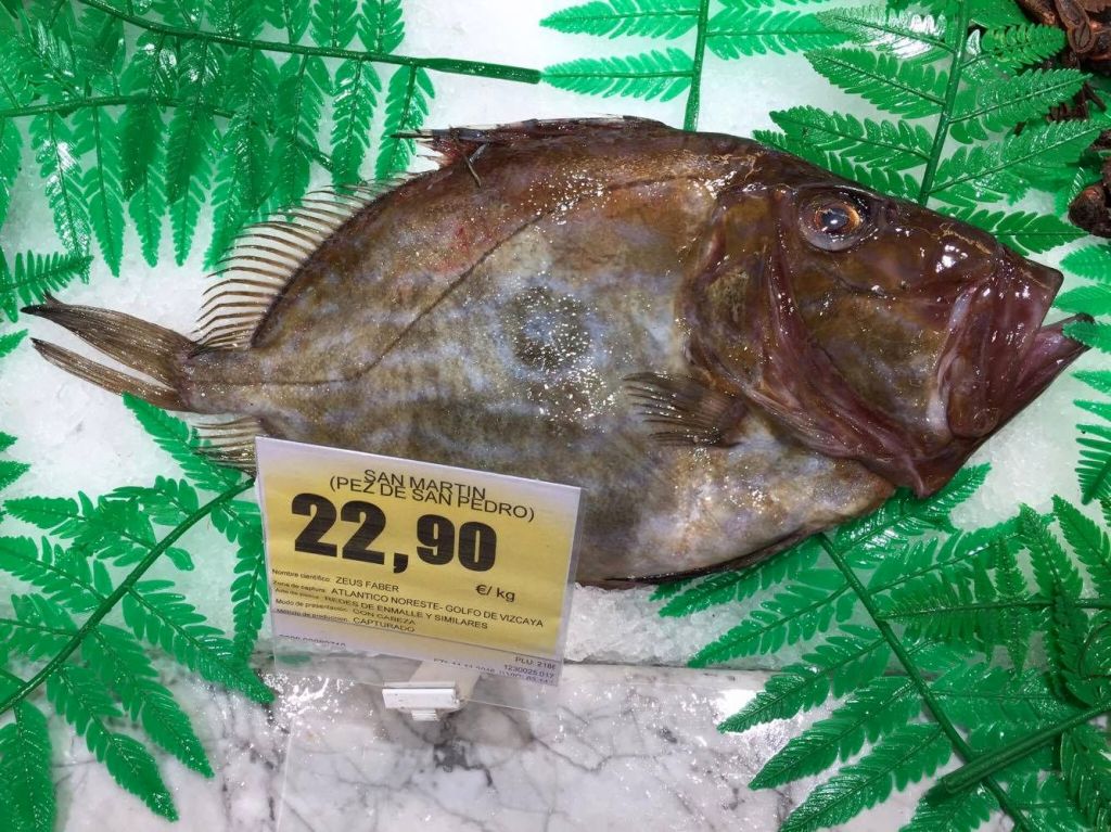 15063985_10154772985325972_849399837_o