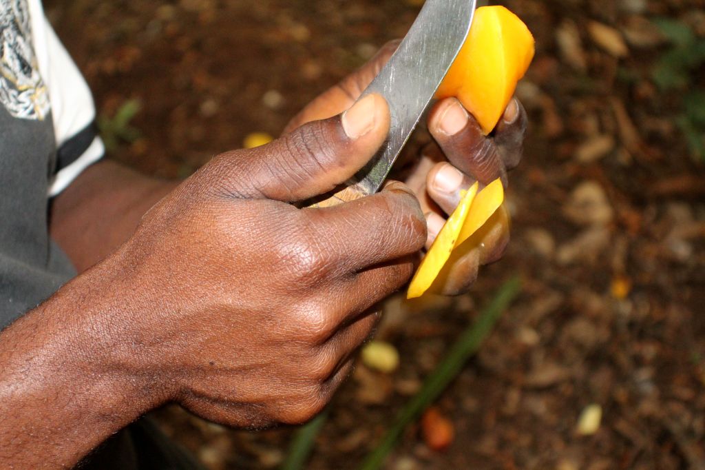 Carambola - Star Fruit