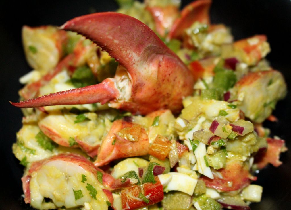 salpicon_de_bogavante_con_plancton