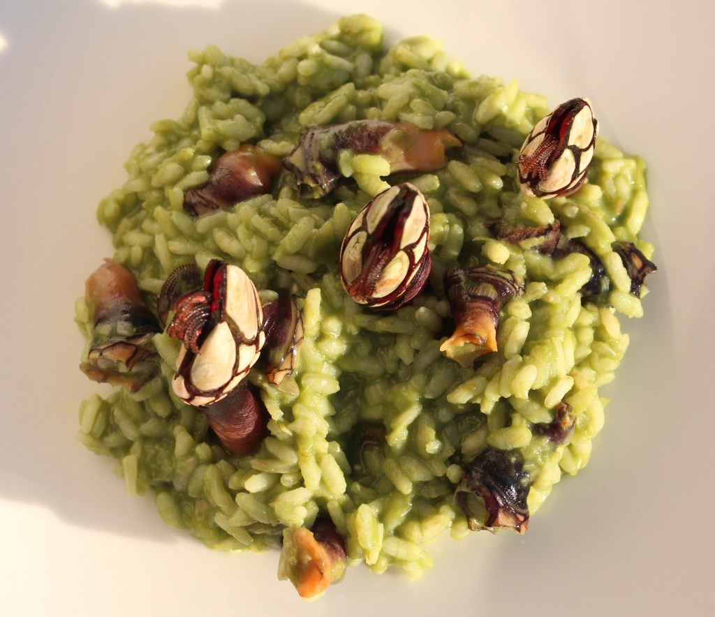 risotto_plancton_percebes