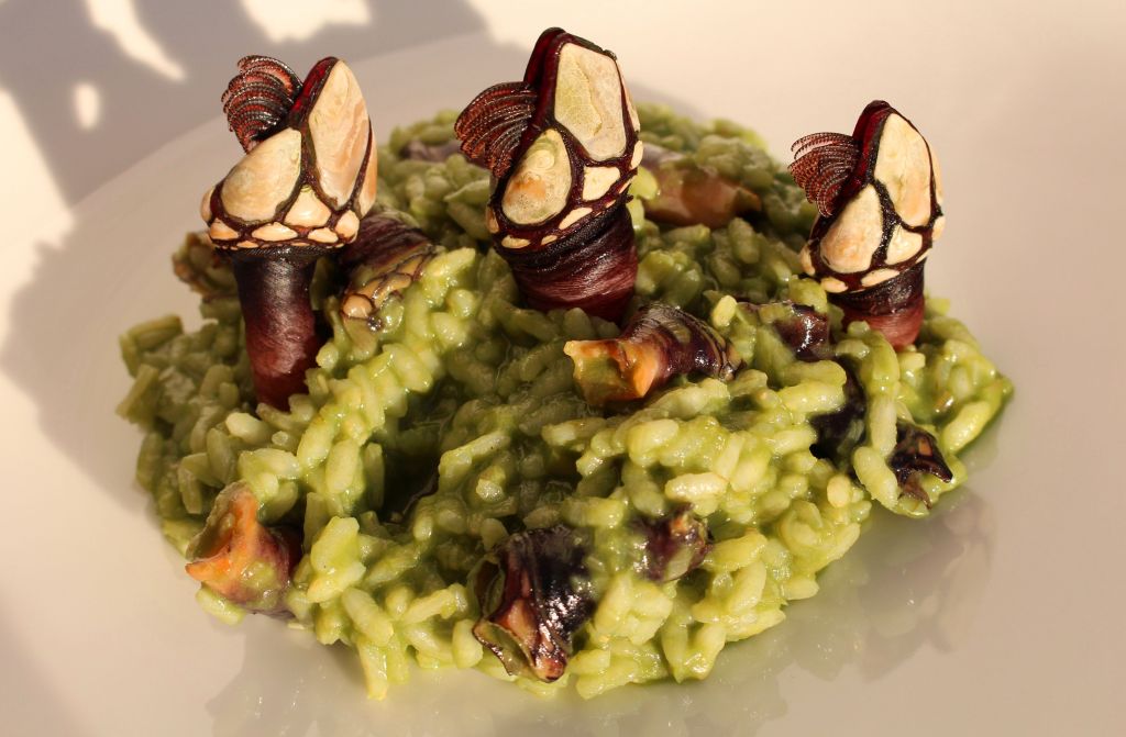 risotto_plancton_percebes