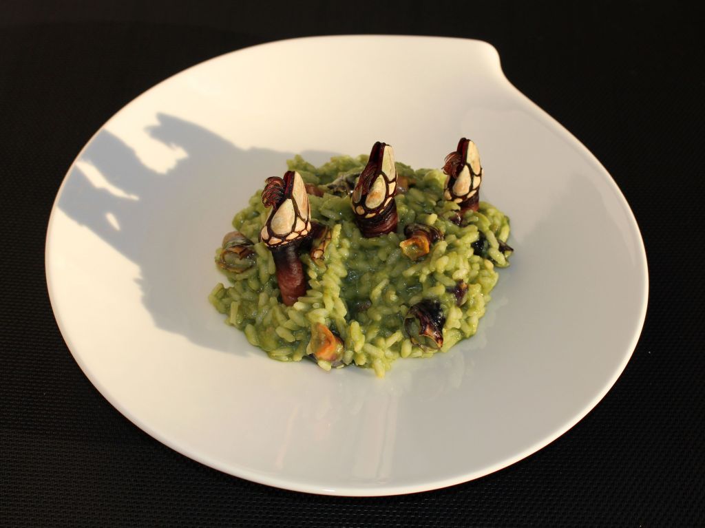 risotto_plancton_percebes