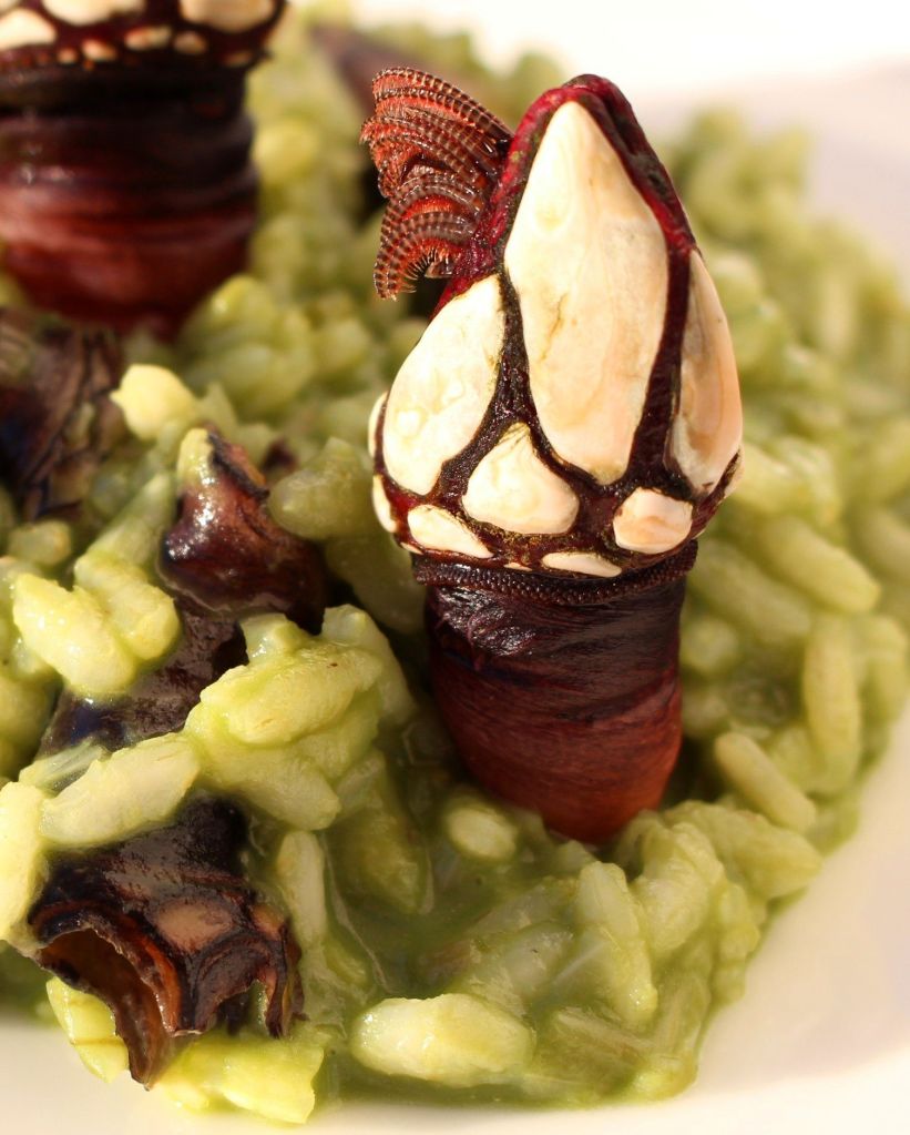 risotto_plancton_percebes