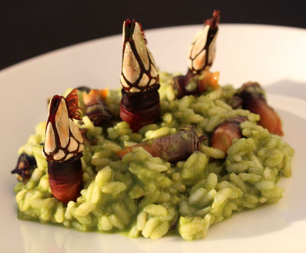 risotto_plancton_percebes