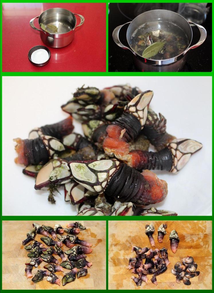 percebes_coccion