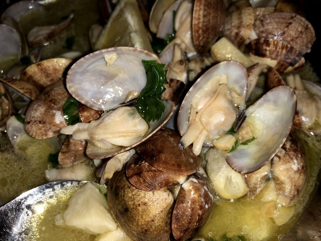 Alemejas Bulhao Pato