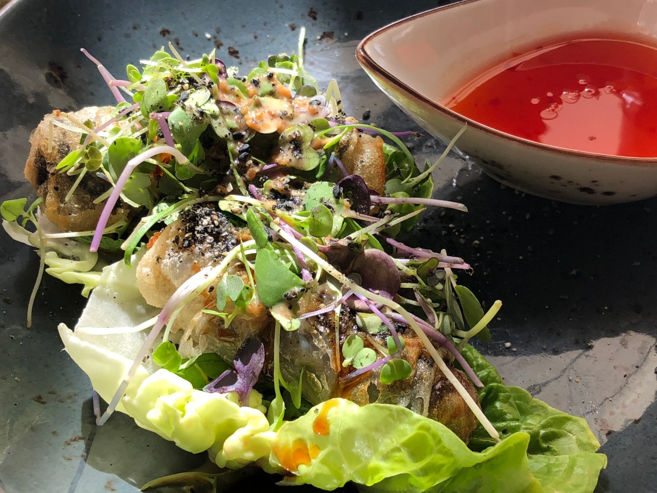 nems vietnamita