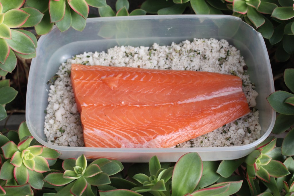 salmón curado 15 días
