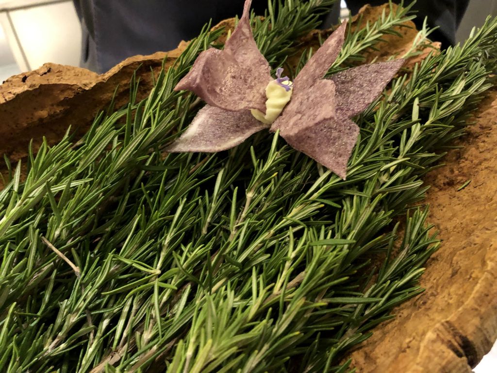 Paseo por Callserola