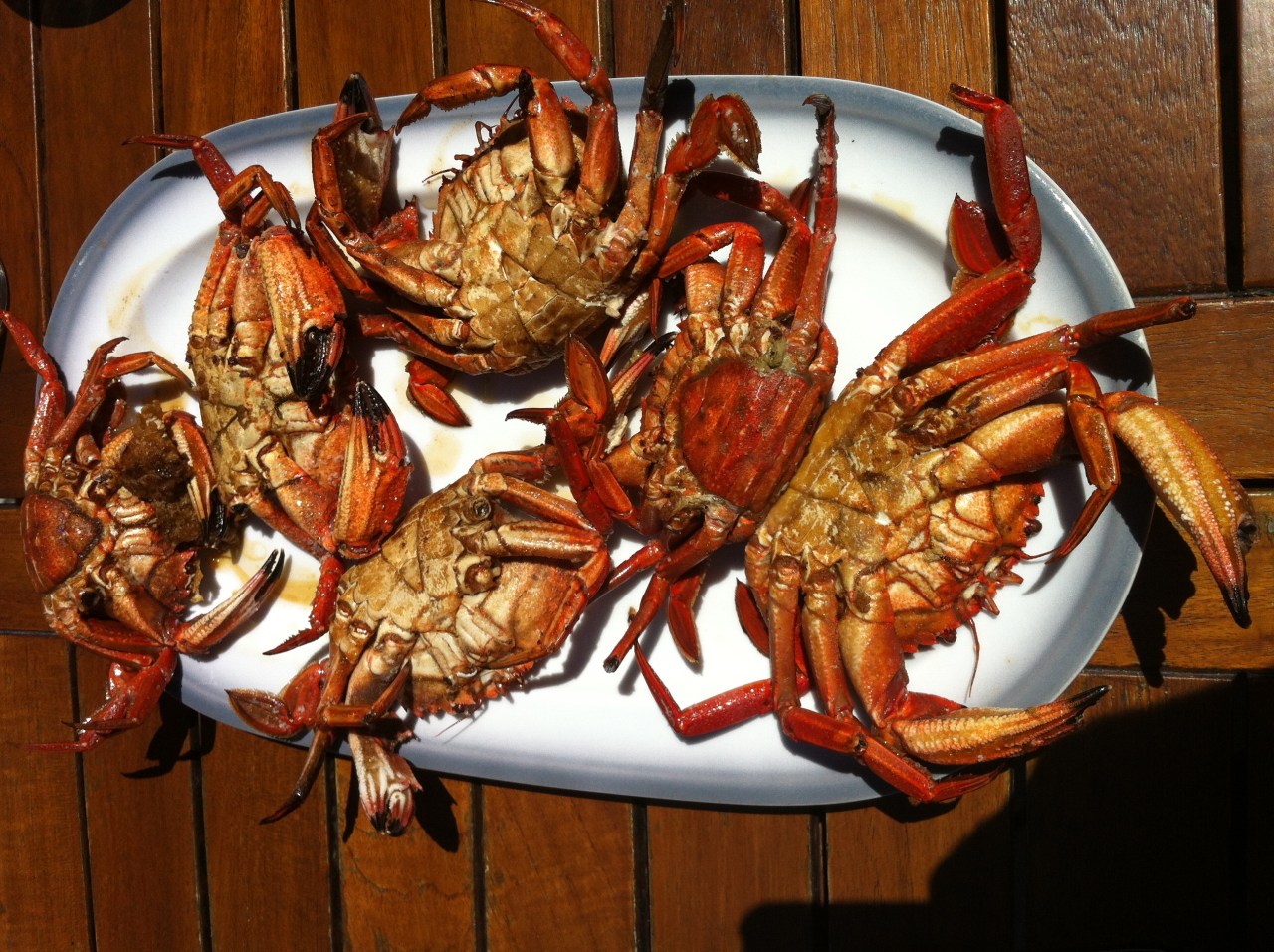 necoras