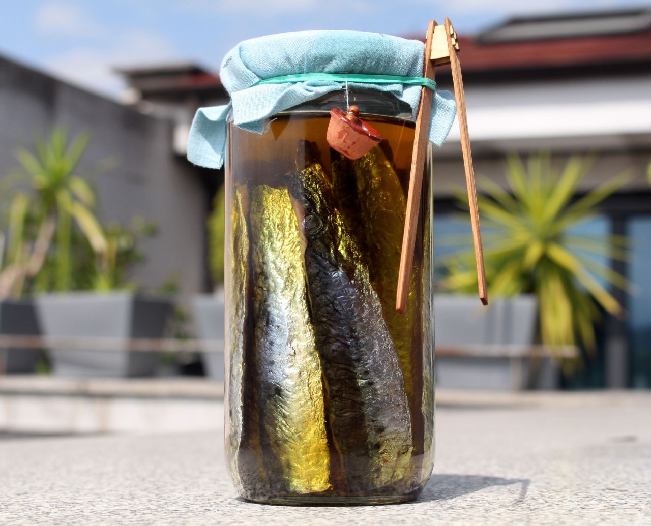 Sardinas Curadas y Ahumadas en&nbsp;Conserva