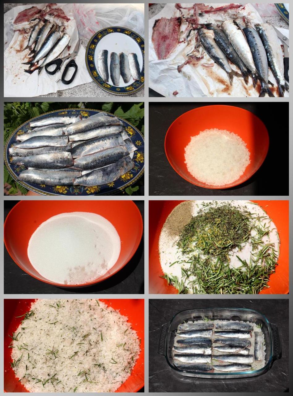 Sardinas curadas y ahumadas en conserva