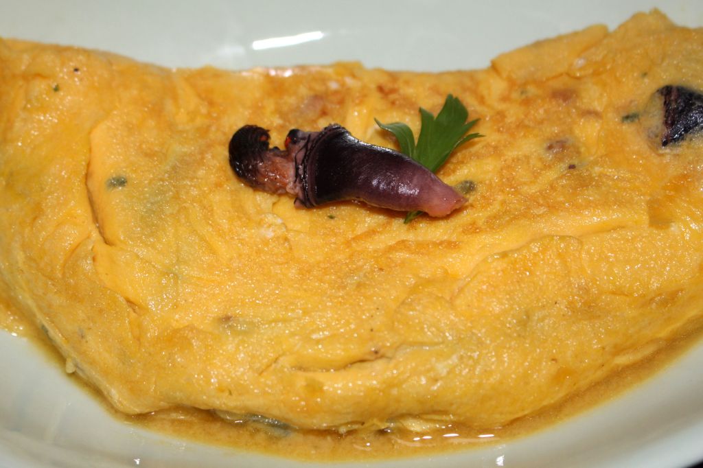 Tortilla de Percebes