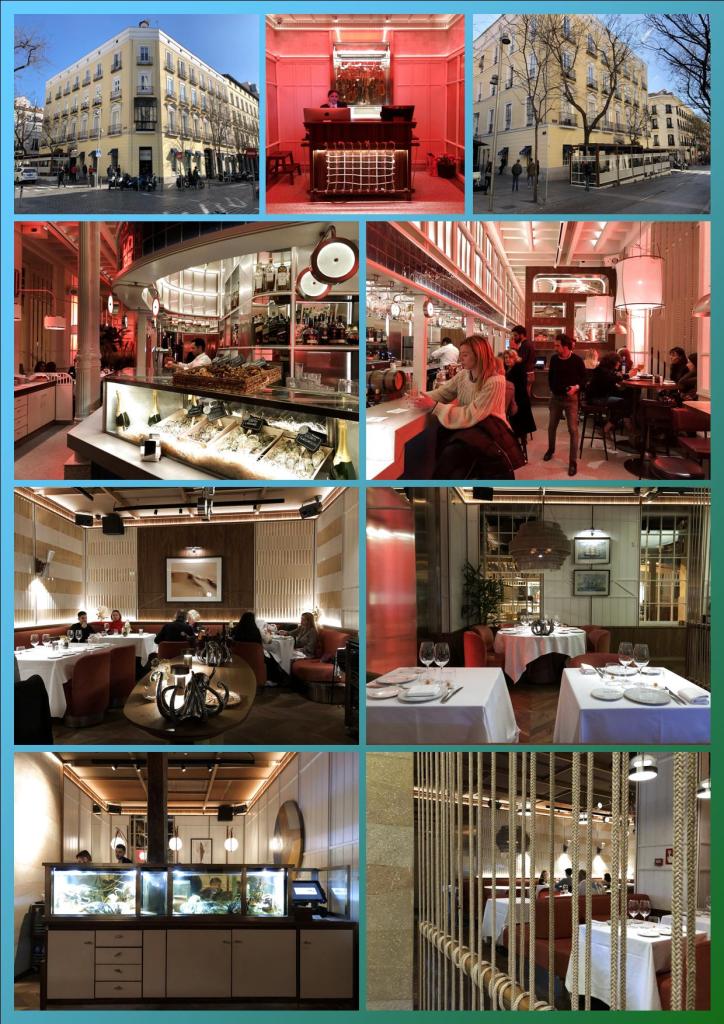 Lobito de Mar - Madrid