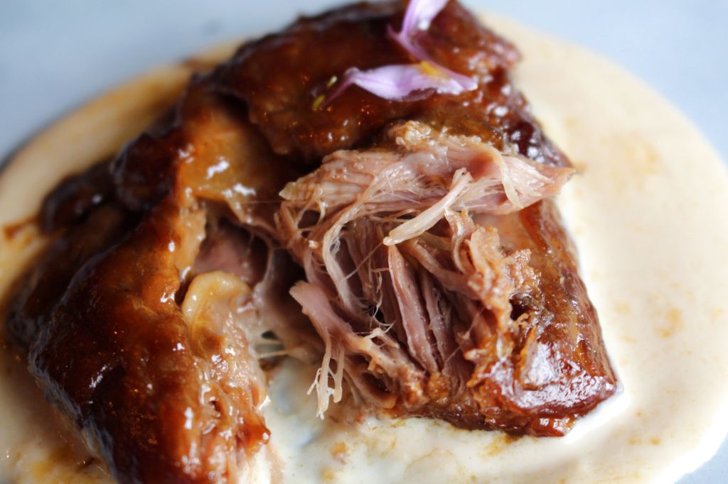 Cordero Xaldu sobre Paparicu