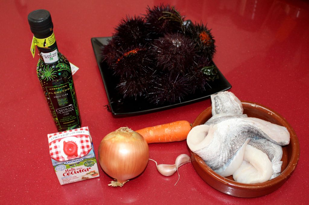 Merluza con Plancton y Oricios