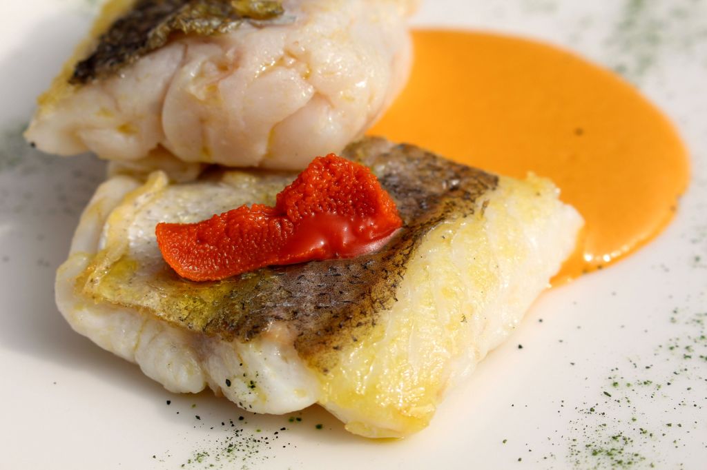 Merluza con Plancton y Oricios