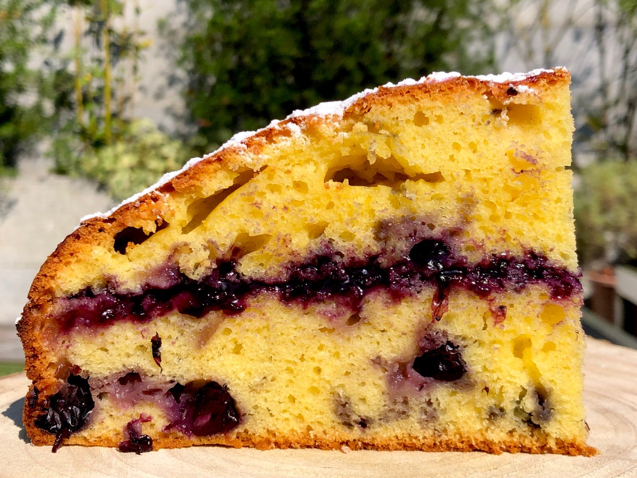 Bizcocho de Arándanos