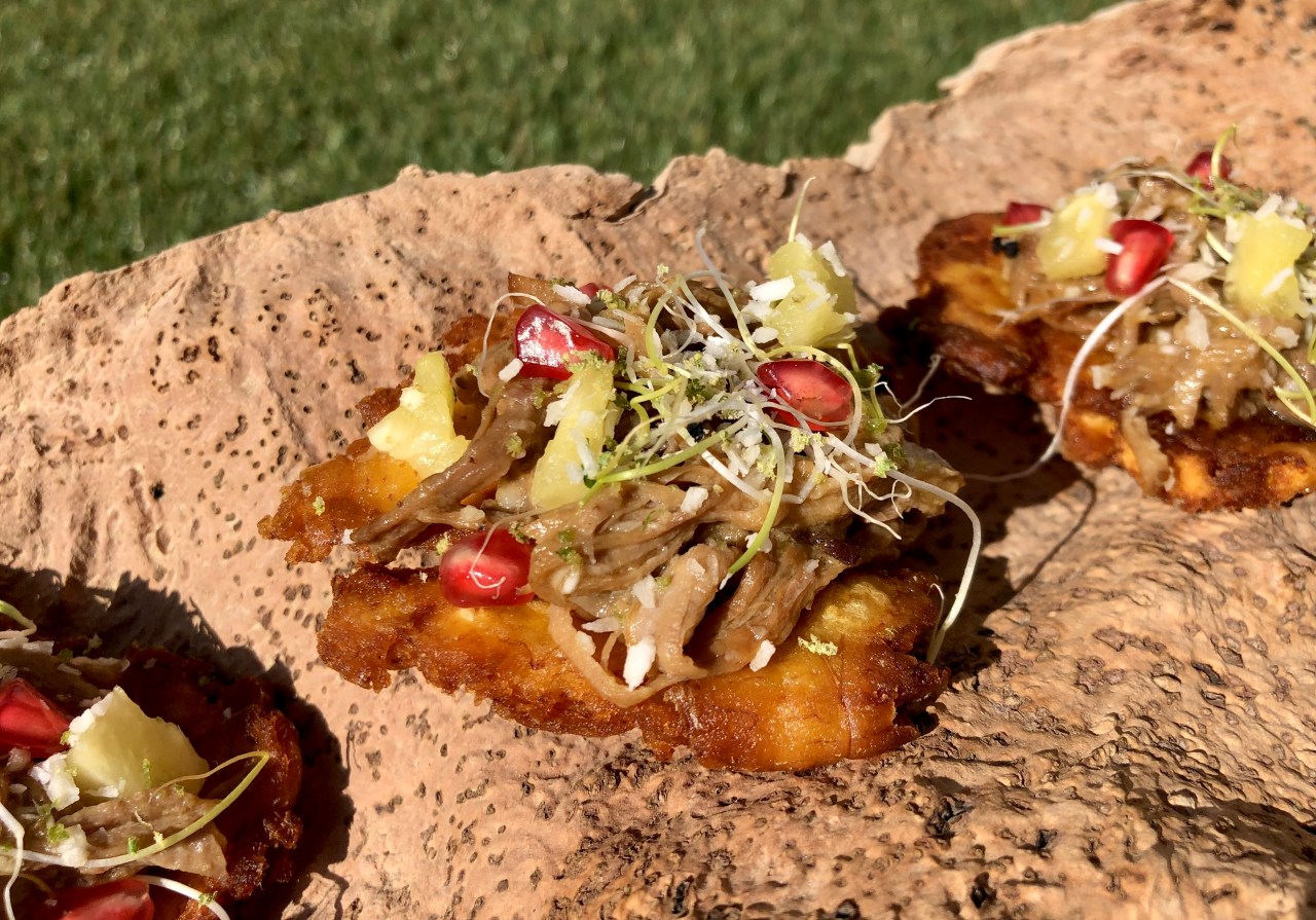 Patacones con Jabalí&nbsp;Tropical